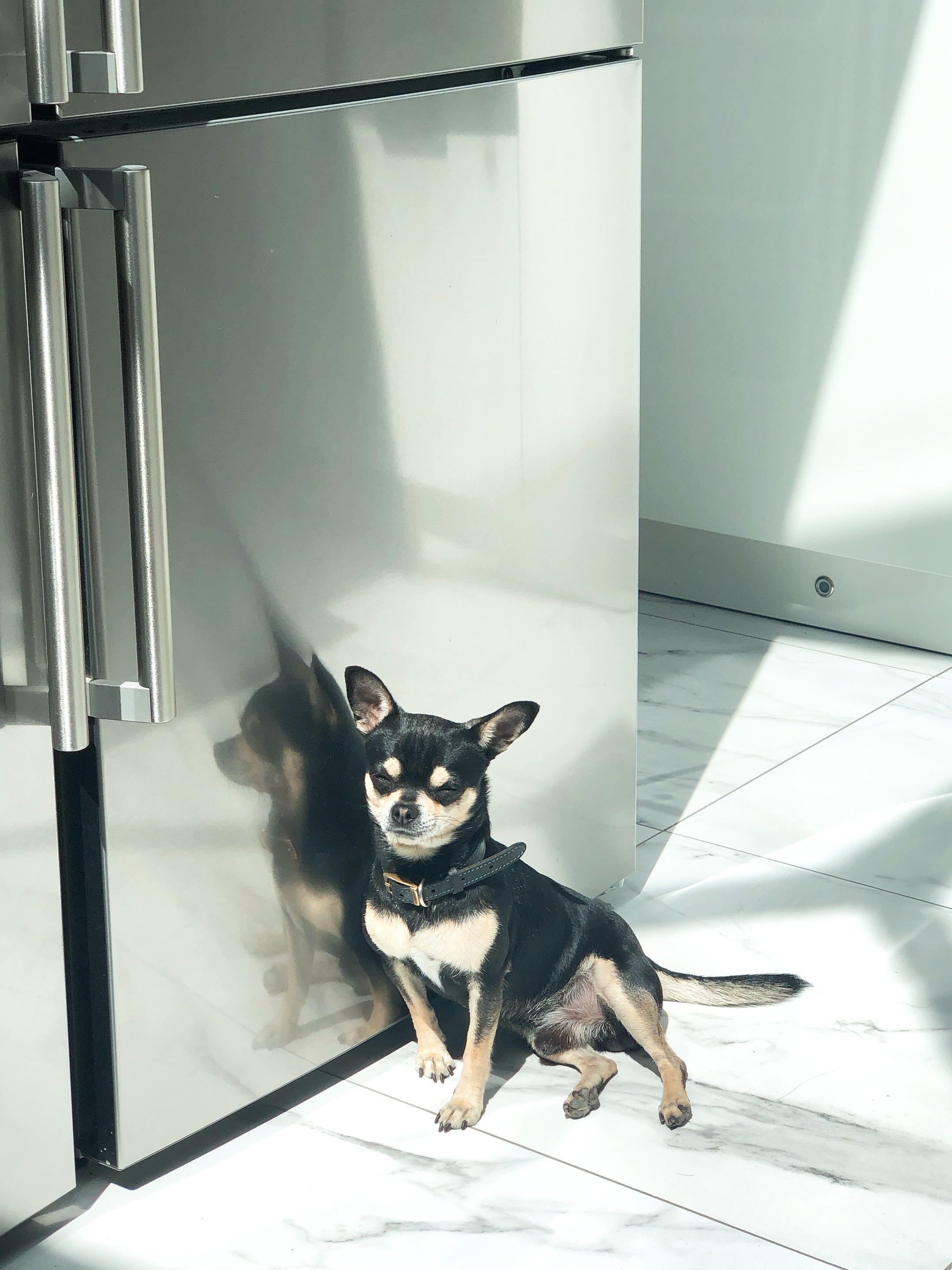 Kiki